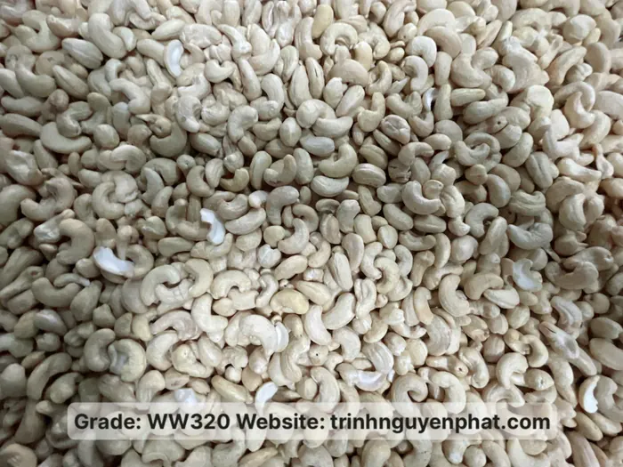 Graded WW320 white whole cashew kernels