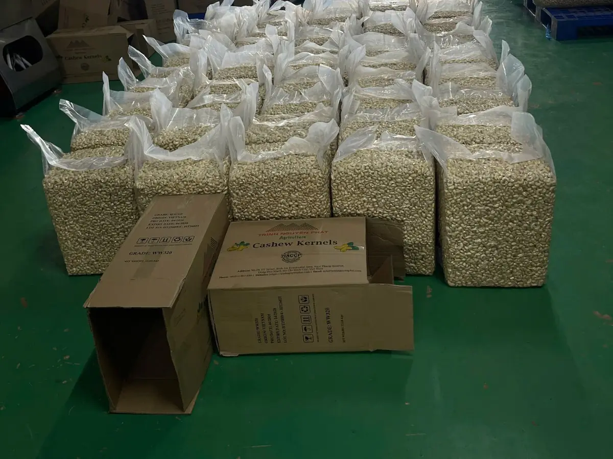 Packed cashew kernels and export cartons ready for loading