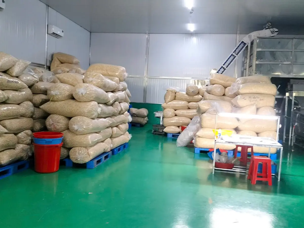 Bags of raw cashew nuts on pallets in the factory warehouse
