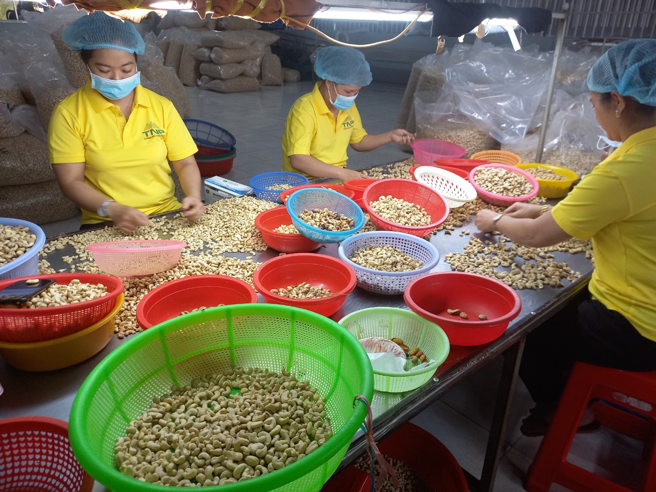 Ngược đà suy giảm, xuất khẩu rau quả, gạo, hạt điều vẫn tăng trưởng ngoạn mục