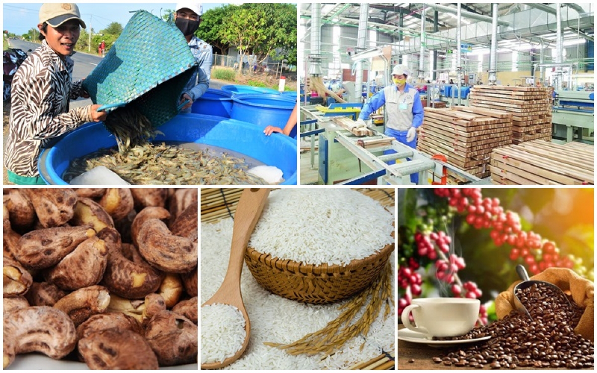 Top 6 mặt hàng nông sản Việt Nam dự kiến xuất khẩu chủ lực trong nửa cuối 2023