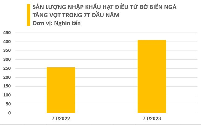 Nhập khẩu điều thô từ Bờ Biển Ngà tăng trên 60%