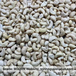 WW320N cashew kernel sample
