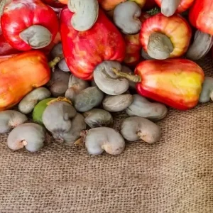 Raw cashew nuts